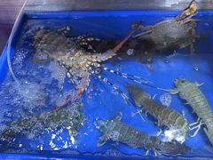 -班赞海鲜市场