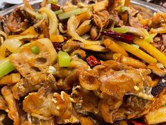干锅牛蛙-馋嘴蛙火锅