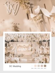 -DC大蔡婚礼策划(李公堤店)