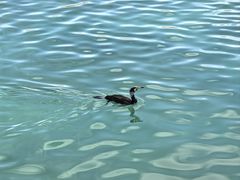 -青海湖二郎剑景区