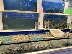 -海天盛宴新派海鲜自助餐厅(群力店)