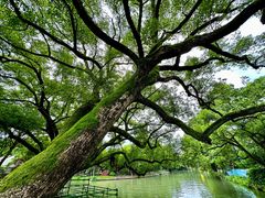 -西溪国家湿地公园