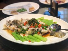 -猪肉婆私房菜(容桂总店)