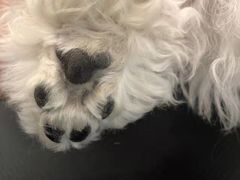 -comecome来吧宠物(奥克斯中心店)