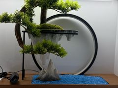 -武氏真功夫(第1店·方中圆店)