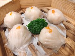 宝园虾饺皇-宝园酒家(美林M·LIVE天地东座店)