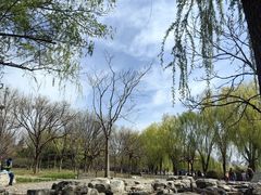 -莲花池公园