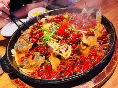 -老板恋上鱼(恒隆广场店)