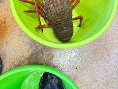 -海上人家The Sea Food Paradise Restaurant & Bar