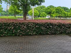 -浙江大学(紫金港校区)
