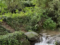 -中国茶叶博物馆(双峰馆区)