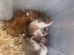 -宠爱我(南山店)