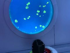 -石家庄海洋公园