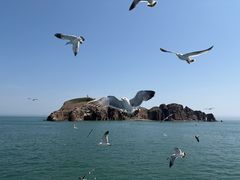 -海驴岛(荣成市)
