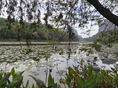 -星湖旅游景区七星岩