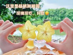 -长洲岛