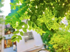 -默迹咖啡馆