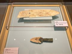 -安阳博物馆