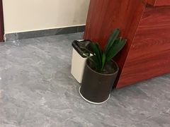 -张钰强中医正骨推拿连锁(唐家人才公寓店)