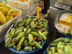 -新鸿港水果市场