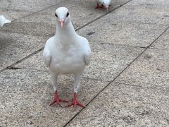 -大连海昌东方水城
