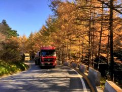 -秦岭风景区