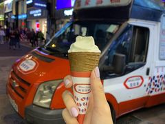 -富豪雪糕车流动点(尖沙咀店)