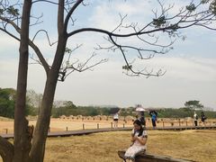 -盘龙城国家考古遗址公园