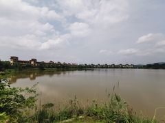 -美的鹭湖森林度假区