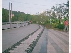 -金鸡岭桥头公园