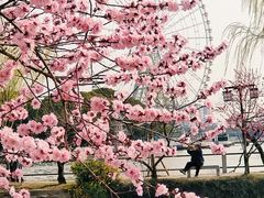 -无锡蠡湖国家湿地公园-蠡园