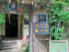 -猫色咖啡·猫咖