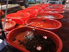 -芦潮港集贸市场