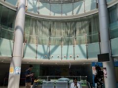 -小海豚国际游泳培训中心(浦东塘桥店)