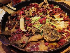 -老板恋上鱼(恒隆广场店)