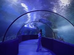 -梦幻海洋王国(吾悦广场张家港店)