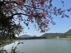 -风云岭森林公园