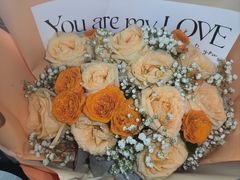 -极动室内恒温游泳馆