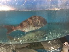 -四海鲜渔家菜(黄金海岸店)
