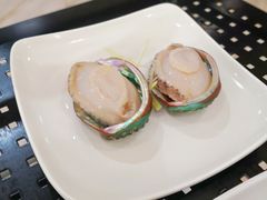 鲍鱼-海大大蒸汽海鲜餐厅·粤菜·特色小炒(欢乐颂店)