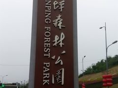 -铁山坪森林公园