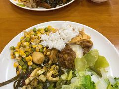 -全国青少年井冈山革命传统教育基地