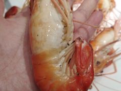 -海儀美食楼(湾仔海鲜街店)