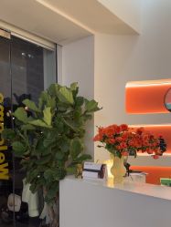 -WENDY·温迪皮肤管理