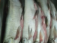 -姚氏鱼馆土家菜