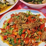 宝子们快冲！秀才土鲫鱼