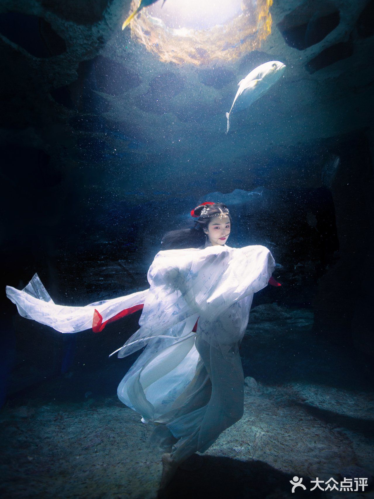 水下写真到底有多惊艳71拍完你就知道了