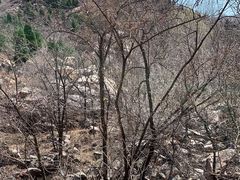 -封龙山风景区