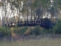 -塞罕坝国家级自然保护区