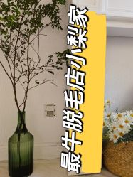 -小梨·OndaPro·专业脱毛连锁机构